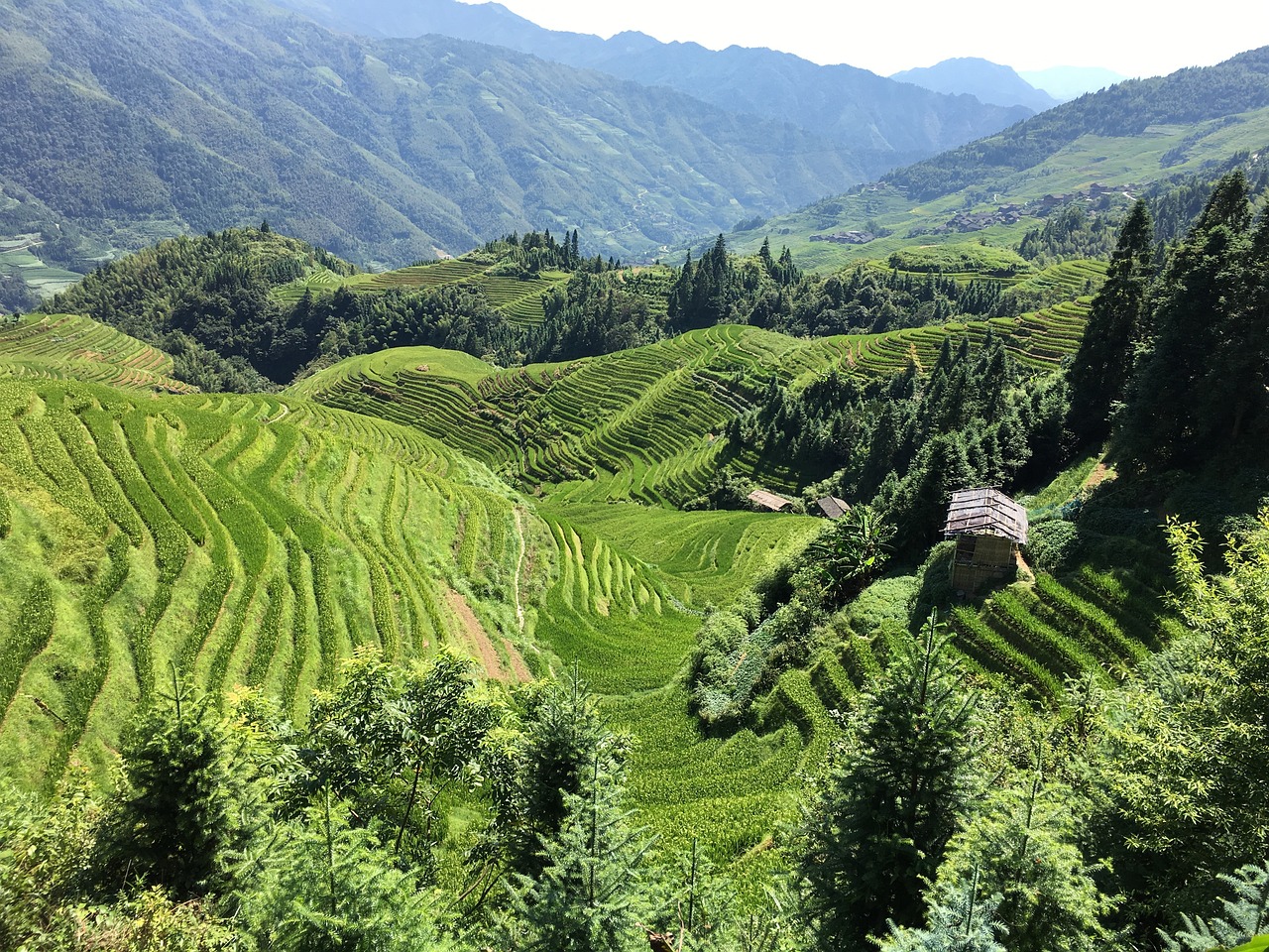 广西南宁六景最新动态