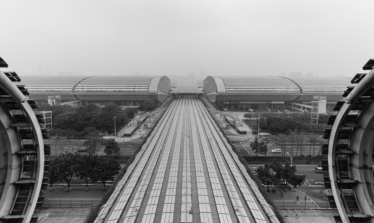 广东省最大的水产市场，繁荣与活力的交汇点